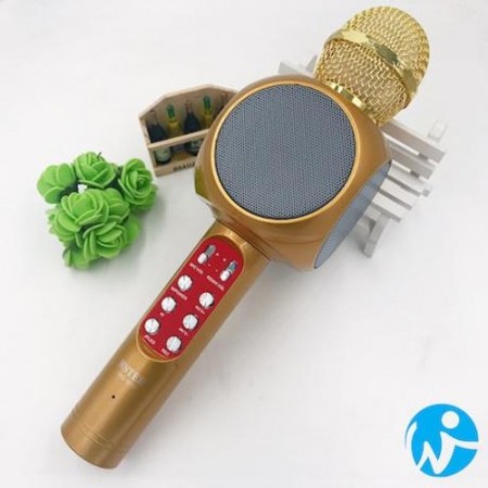 Wireless Microphone with Speaker WS-1816