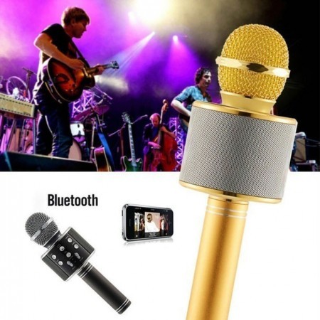 Wireless Bluetooth Karwaoke Microphone & Speaker