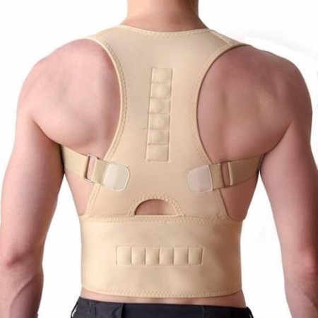 Royal Posture Back Support Belt